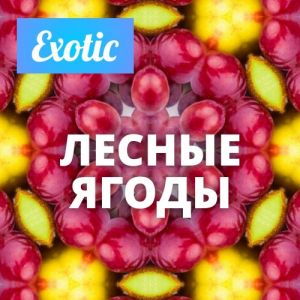 Exotic ЛЕСНЫЕ ЯГОДЫ 10мл Exotic ЛЕСНЫЕ ЯГОДЫ 10мл