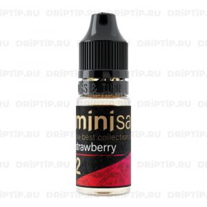 Mini Salt - Strawberry Mini Salt - Strawberry
