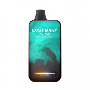 Lost Mary BM16000 - Горная мята