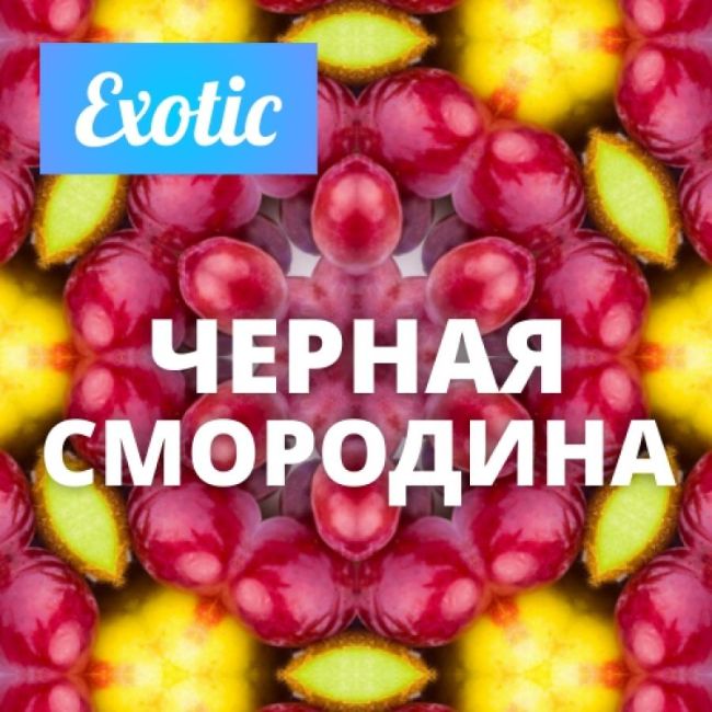 Exotic ЧЕРНАЯ СМОРОДИНА 10мл Exotic ЧЕРНАЯ СМОРОДИНА 10мл