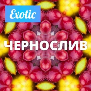 Exotic ЧЕРНОСЛИВ 10мл Exotic ЧЕРНОСЛИВ 10мл
