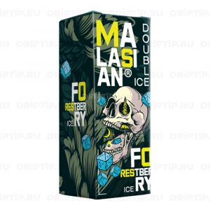 Blast Malaysian Double Ice Salt - Ice Forest Berry Blast Malaysian Double Ice Salt - Ice Forest Berry