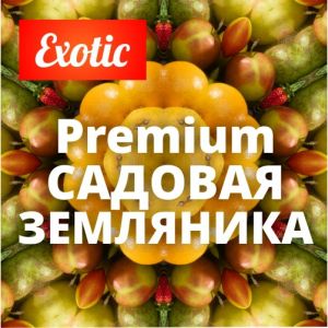 Exotic Premium САДОВАЯ ЗЕМЛЯНИКА 10мл Exotic Premium САДОВАЯ ЗЕМЛЯНИКА 10мл