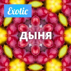 Exotic ДЫНЯ 10мл Exotic ДЫНЯ 10мл
