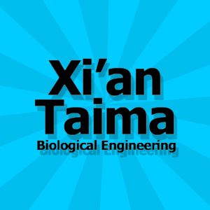 Xi'an Taima Banana Xi'an Taima Banana