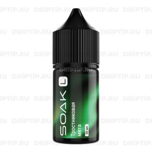 Soak L Salt - Тростниковая Мята