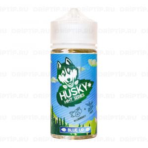 Husky Mint Series - Blue Up Husky Mint Series - Blue Up