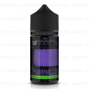 Voice Pod Salt - Noise Voice Pod Salt - Noise