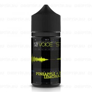 Voice Pod Salt - Stereo Voice Pod Salt - Stereo