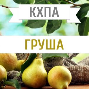 КХПА - Груша 10мл КХПА - Груша 10мл