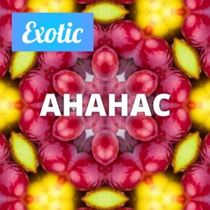 Exotic АНАНАС 10мл Exotic АНАНАС 10мл