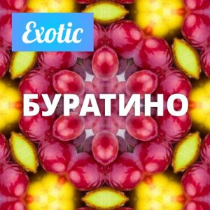 Exotic БУРАТИНО 10мл Exotic БУРАТИНО 10мл