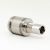 N22 RDA