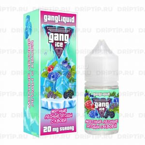 Gang Ice Salt - Мятные Лесные Ягоды С Хвоей