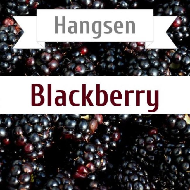 Hangsen Blackberry 10 мл
