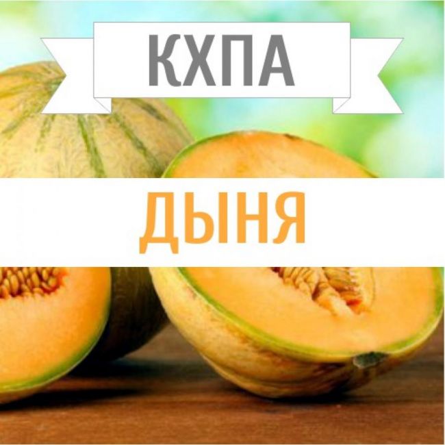 КХПА - Дыня 10мл